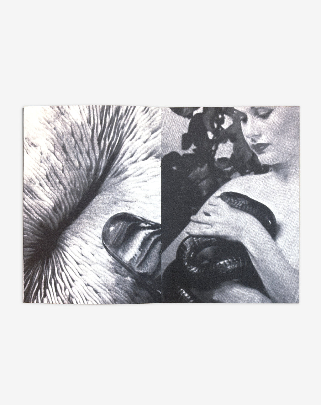 ONEMANNONAME ZINE 01