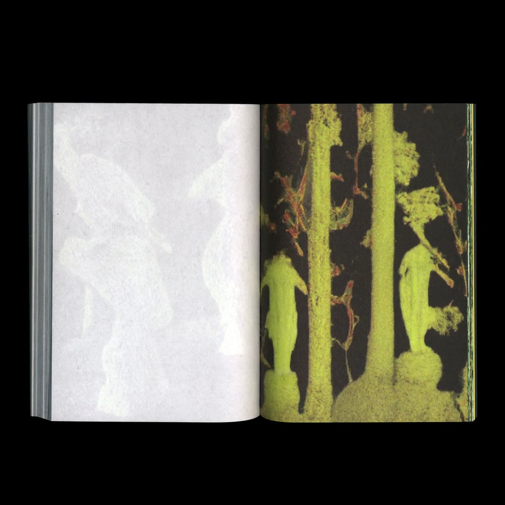ANOTHER GREEN WORLD, COLLECTION CONFIDENS