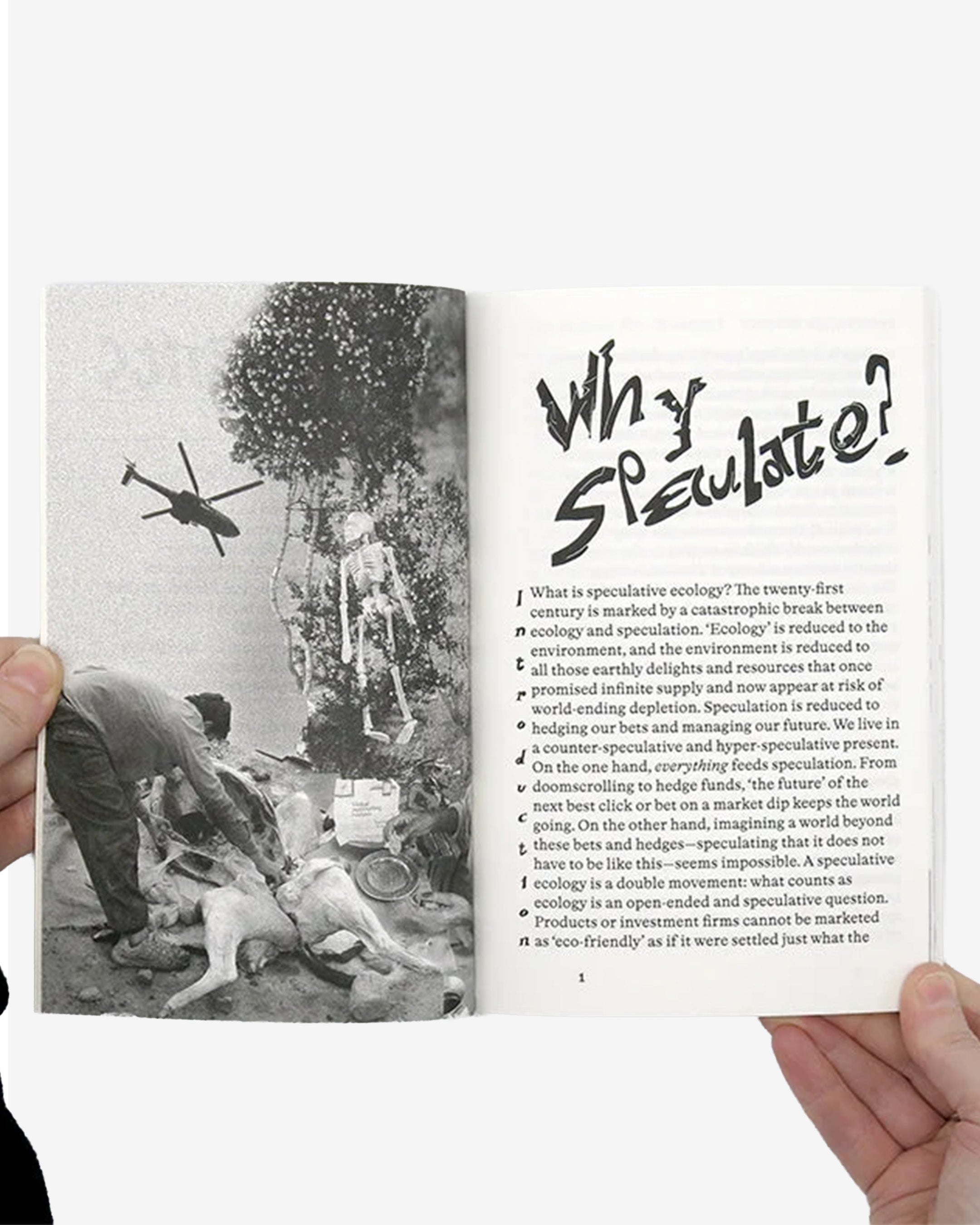 SPECULATIVE ECOLOGY: THE CHALLENGE OF AESTHETICS IN AN ERA OF FUNDAMENTALISM