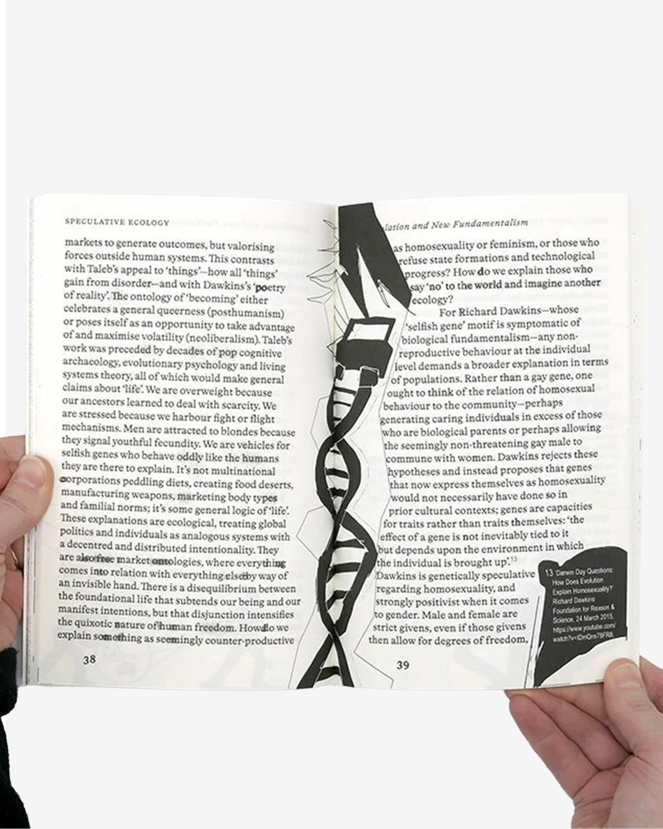 SPECULATIVE ECOLOGY: THE CHALLENGE OF AESTHETICS IN AN ERA OF FUNDAMENTALISM
