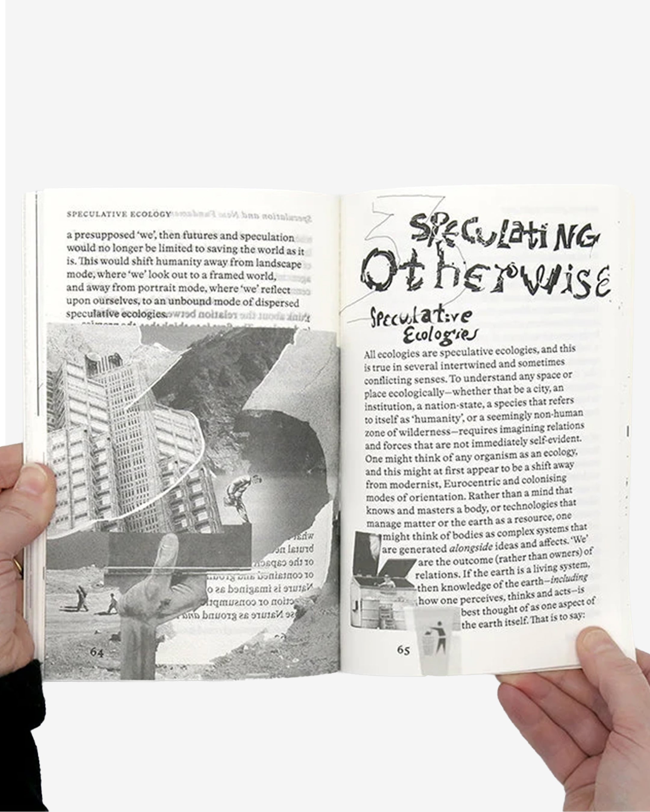 SPECULATIVE ECOLOGY: THE CHALLENGE OF AESTHETICS IN AN ERA OF FUNDAMENTALISM