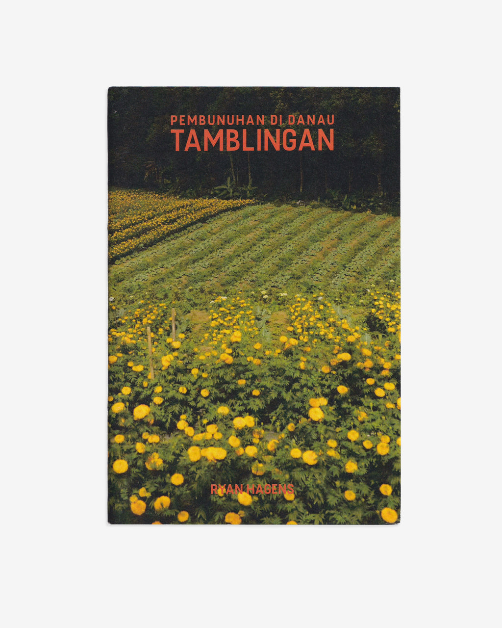 PEMBUNUHAN DI DANAU TAMBLINGAN