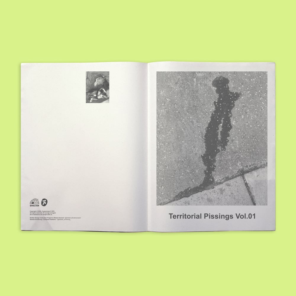 TERRITORIAL PISSING ZINE