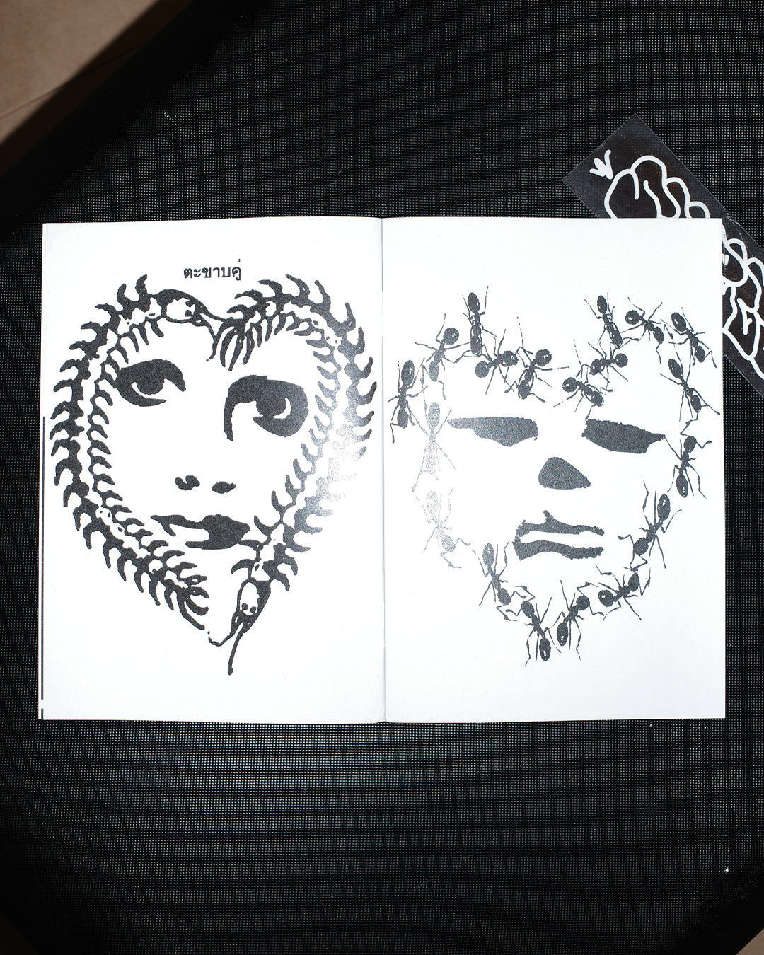 KNOW THE FACE NOT THE HEART