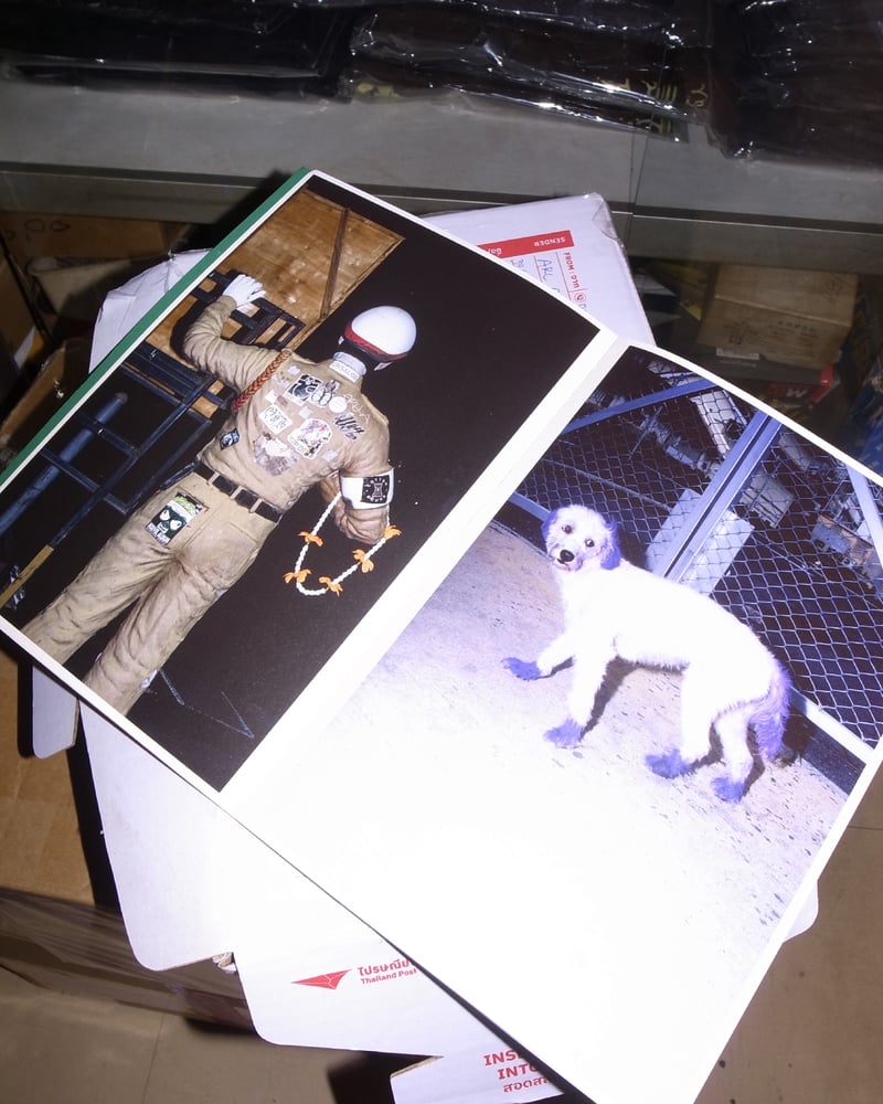 RAW ZINE VOL. 1