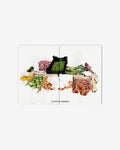 MY FRUITS MY VEGETABLES